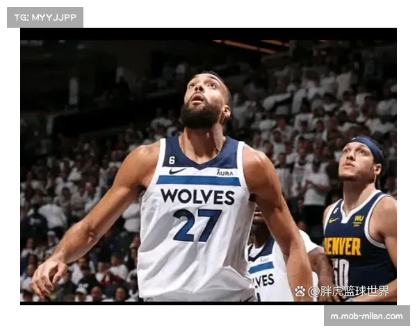 戈贝尔首次双十表现 14分19篮板助力球队